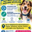 PROMOCJA CZIPOWANIA PSÓW POPRZEZ SZCZEPIENIA PRZECIWKO WŚCIEKLIŹNIE